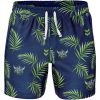 NRL Canberra Raiders Leaves Men Beach Shorts